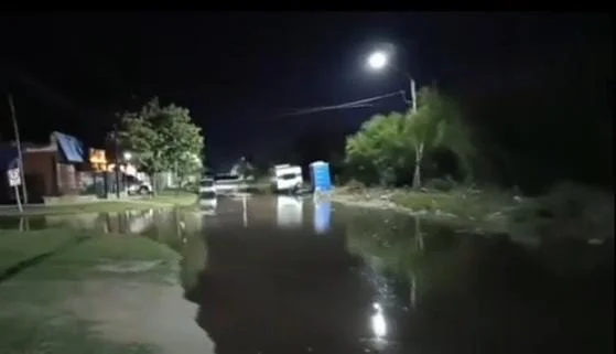 WhatsApp Image 2026-02-25 at 10.02.19