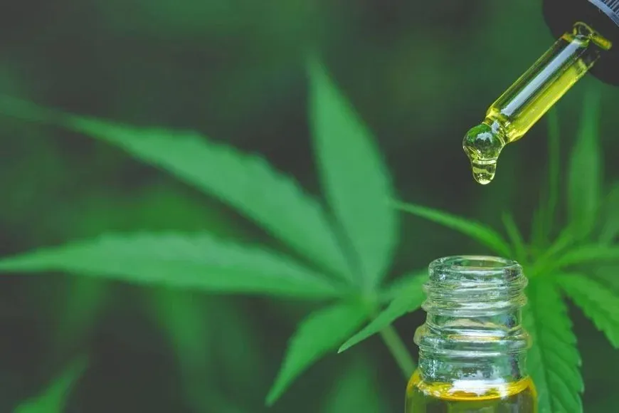 cannabis