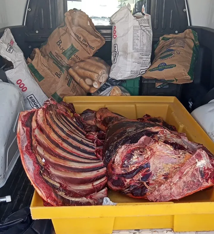 WhatsApp Image 2025-02-08 at 14.06.30