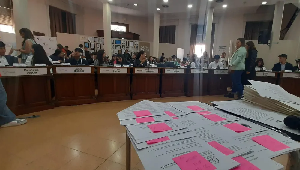 Concejo Deliberante Joven