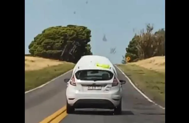 capot abierto
