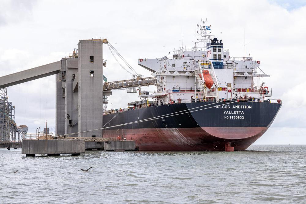 2191ce7b-68b2-472a-8063-139b0861ee5e