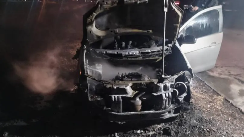 WhatsApp Image 2026-01-16 at 11.59.30