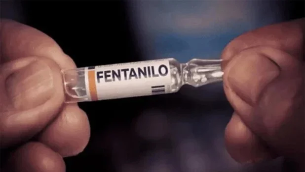 WhatsApp Image 2026-04-01 at 15.33.15