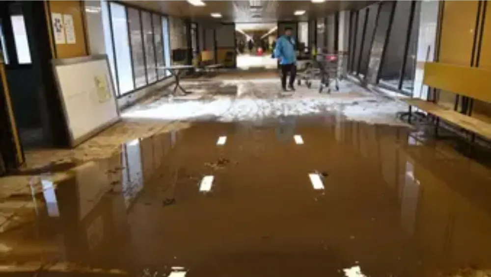 Screenshot_20260112_190518_Chrome