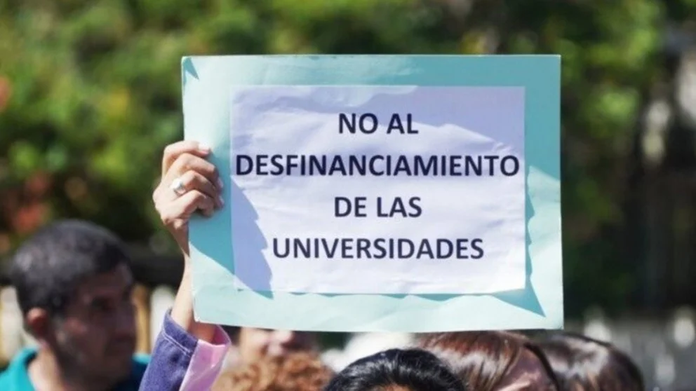 WhatsApp Image 2026-03-31 at 13.05.41