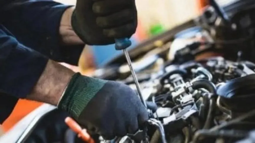 WhatsApp Image 2025-02-24 at 10.30.15 (1)