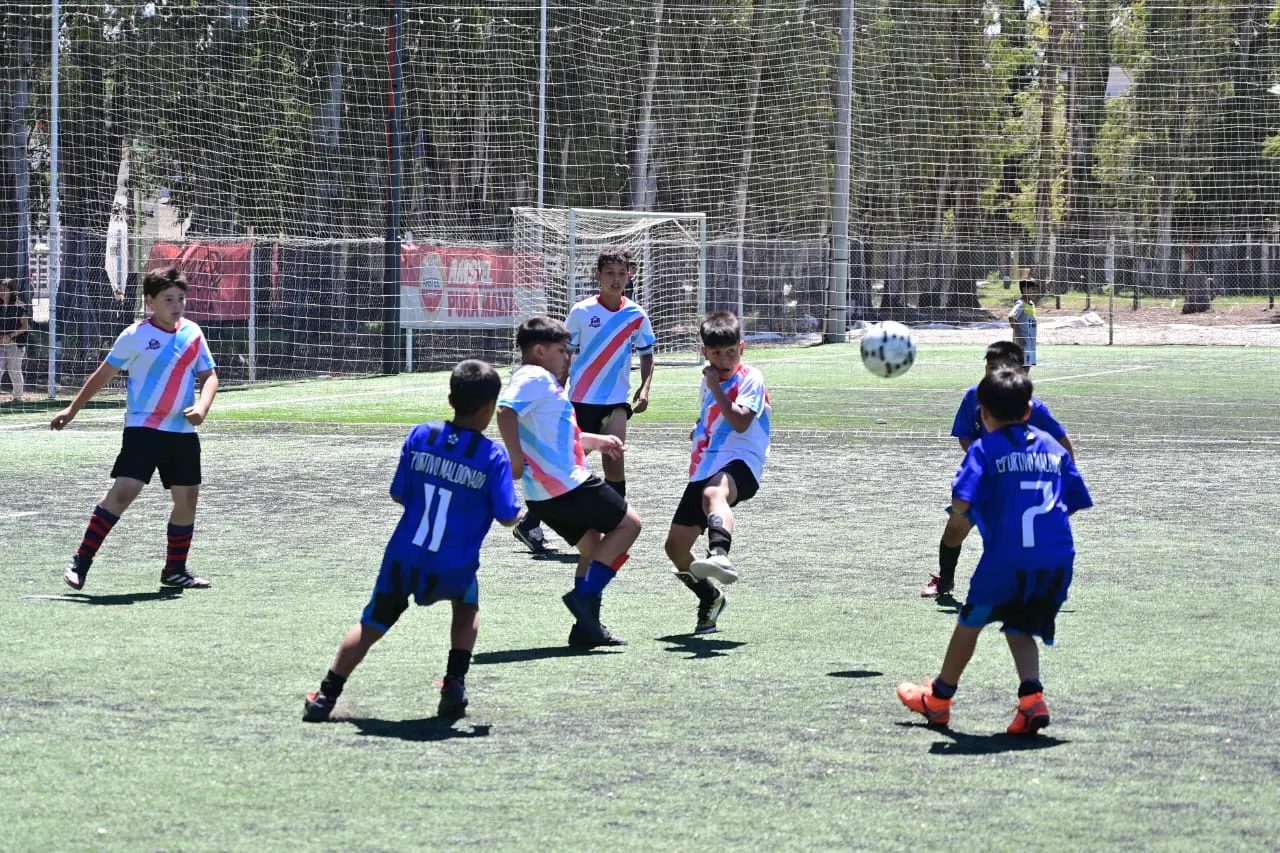 materiales a clubes (2)