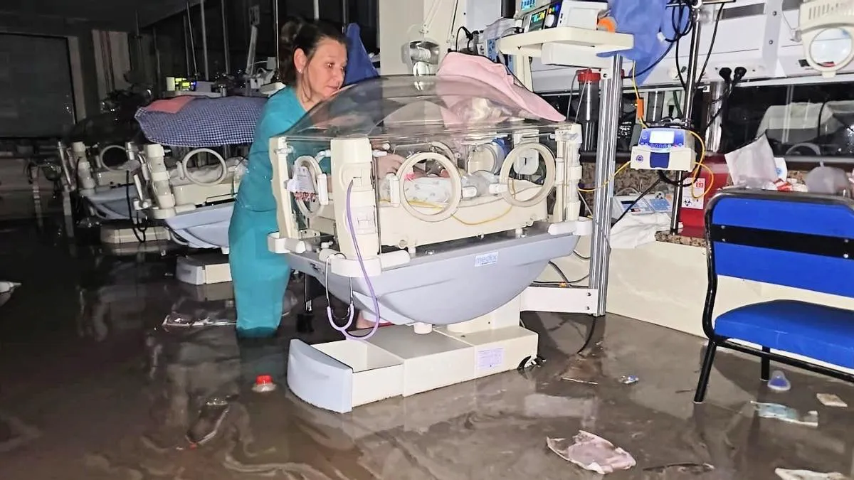 WhatsApp Image 2025-03-13 at 10.43.37