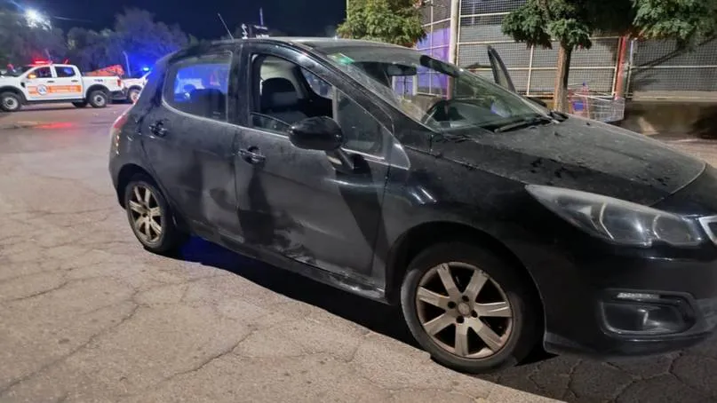 WhatsApp Image 2026-02-17 at 11.38.47