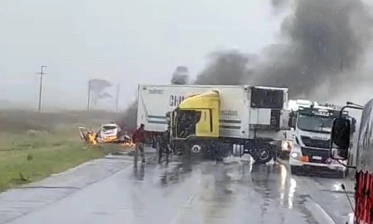 WhatsApp Image 2026-03-22 at 02.02.14