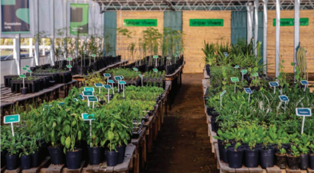 0361c9c2-2523-4e7e-b727-9b0e5556af96