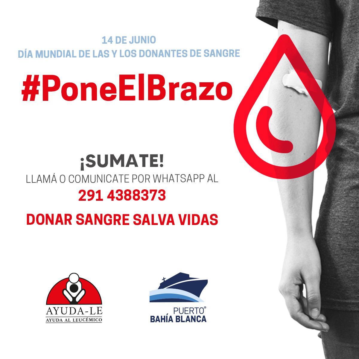 pone el brazo puerto