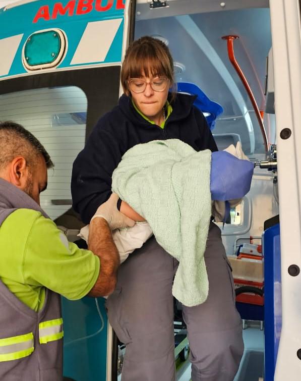 IMG-20240409-WA0028~2