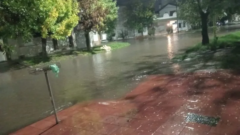 WhatsApp Image 2025-03-22 at 10.12.53