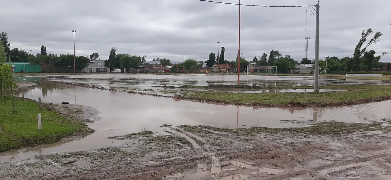 WhatsApp Image 2025-10-22 at 11.15.31