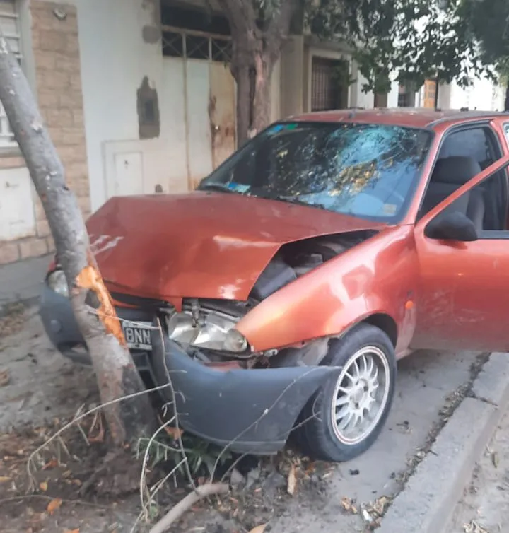 WhatsApp Image 2025-02-17 at 09.38.08