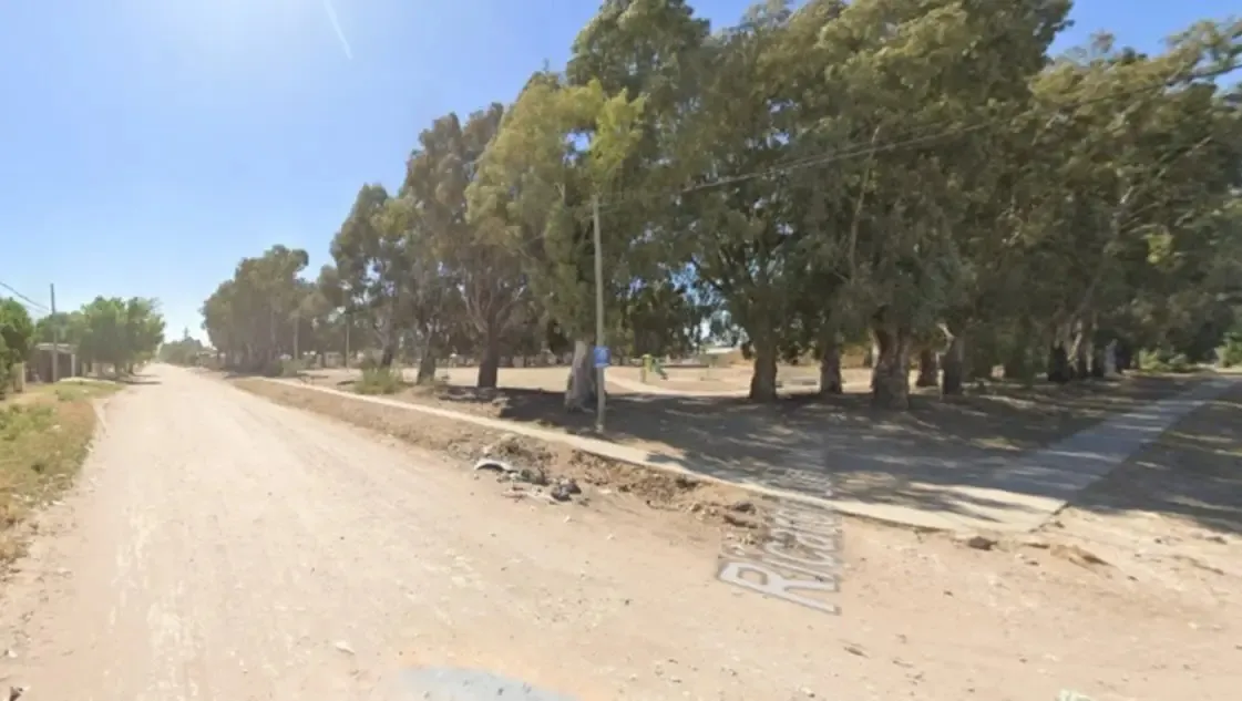 WhatsApp Image 2026-01-18 at 14.31.36