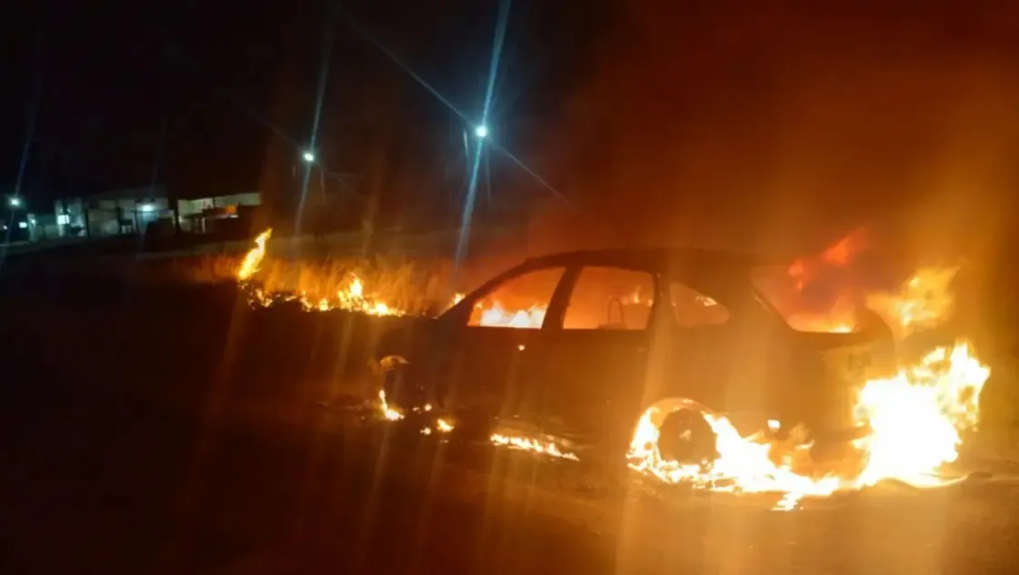 WhatsApp Image 2026-02-13 at 09.51.55