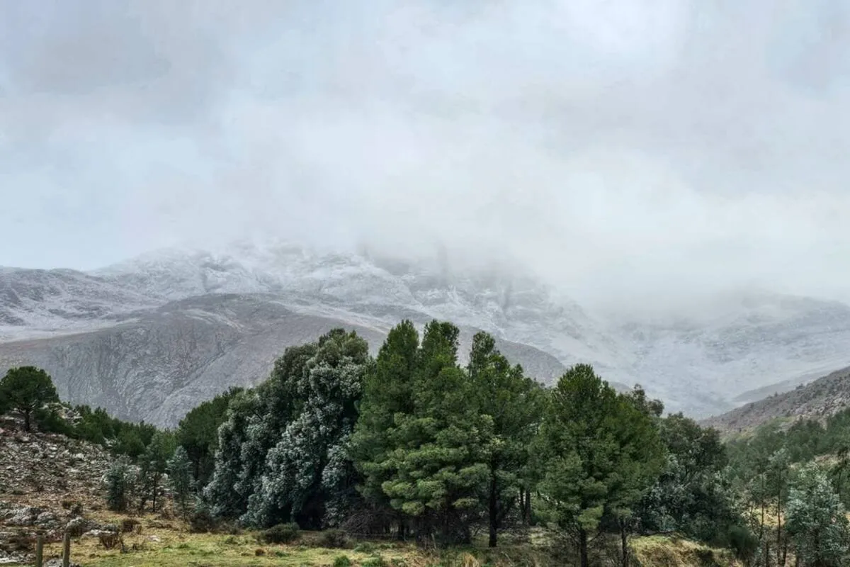 WhatsApp Image 2025-06-30 at 11.20.58