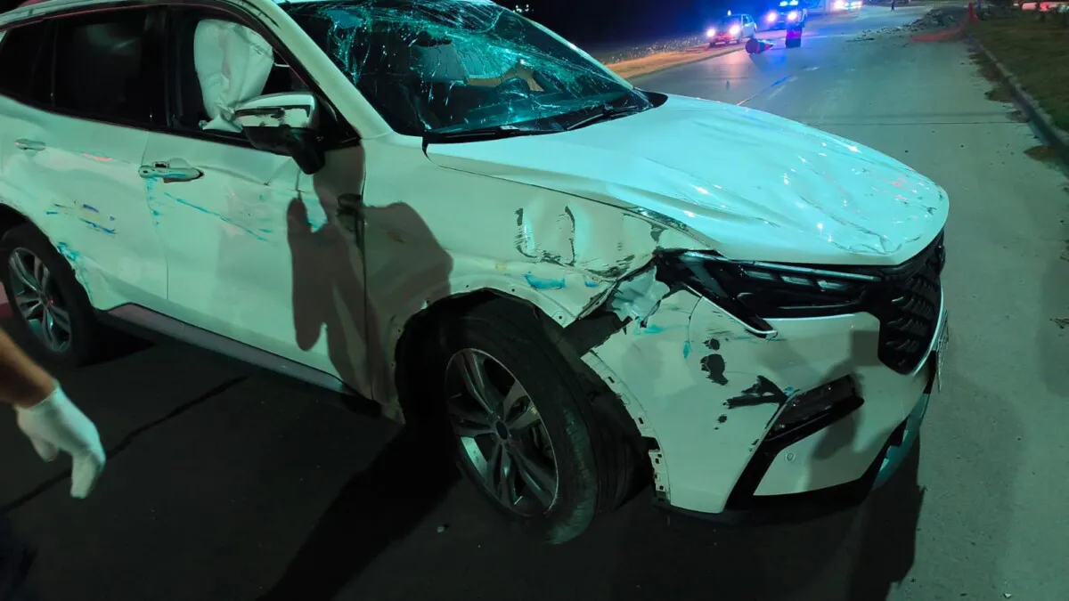 WhatsApp Image 2026-01-25 at 14.30.13