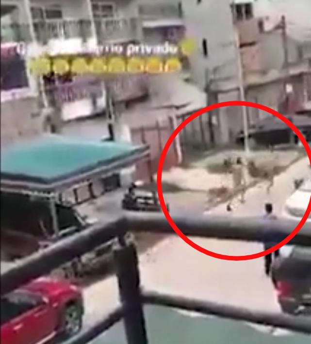 WhatsApp Image 2021-02-16 at 10.39.07