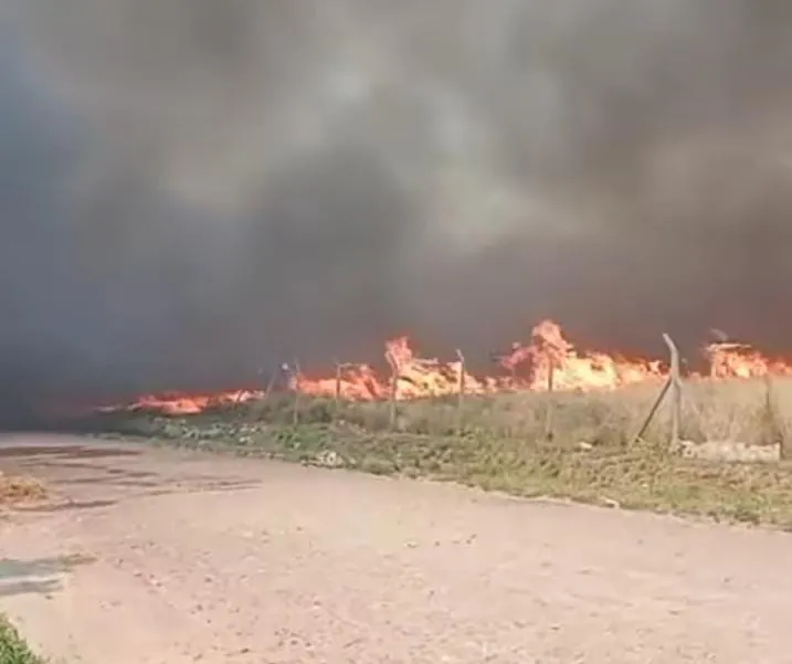 WhatsApp Image 2025-12-25 at 23.01.57