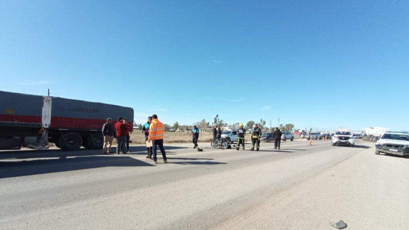 WhatsApp Image 2024-08-16 at 16.46.54