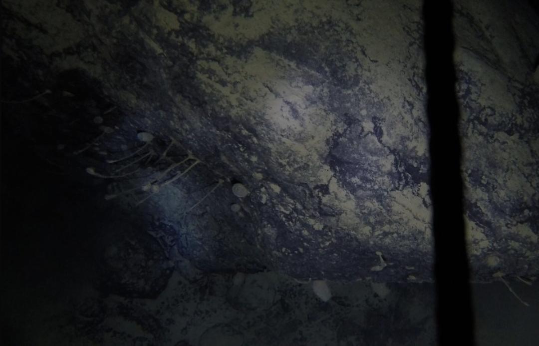 WhatsApp Image 2021-02-16 at 12.00.17