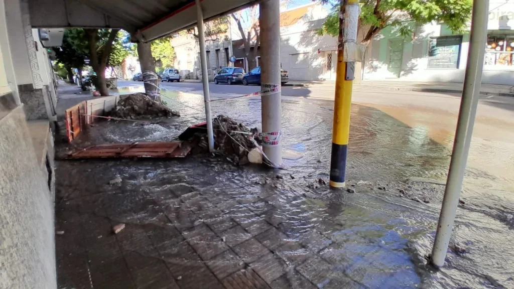 WhatsApp Image 2026-02-20 at 00.07.17