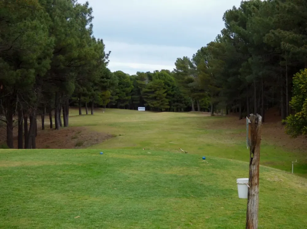 Monte cancha