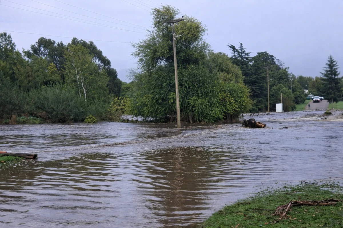 Foto: Radio Reflejos