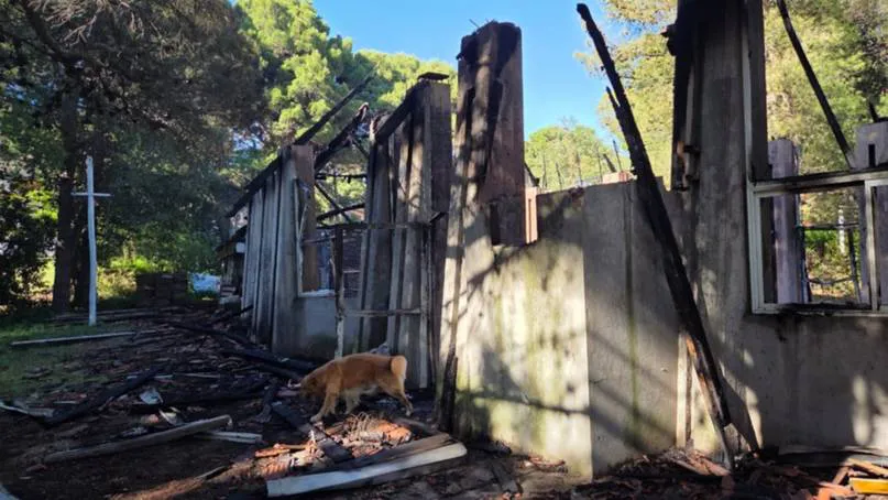 WhatsApp Image 2025-11-01 at 19.25.42