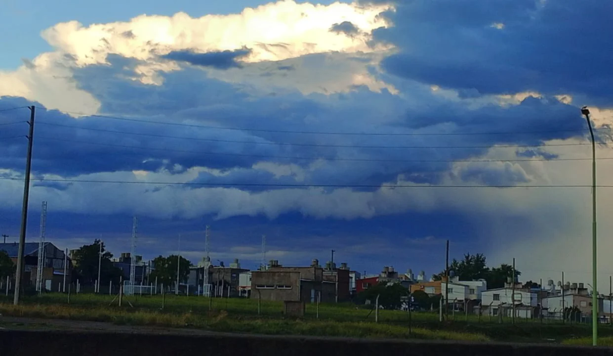 WhatsApp Image 2026-03-17 at 09.17.07