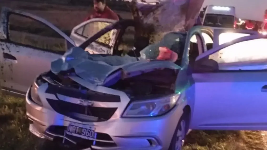 WhatsApp Image 2026-04-06 at 09.26.03