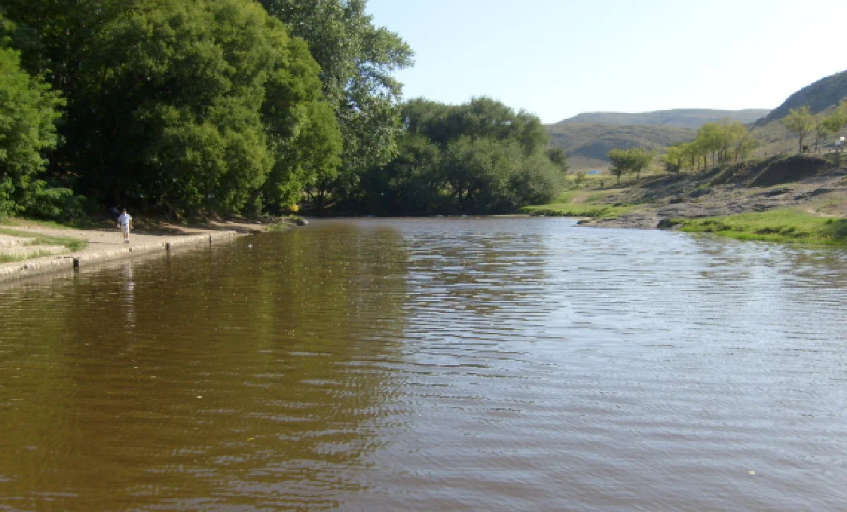 WhatsApp Image 2026-04-04 at 11.10.56