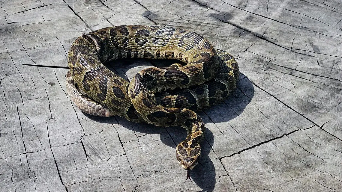 WhatsApp Image 2025-12-23 at 15.11.19