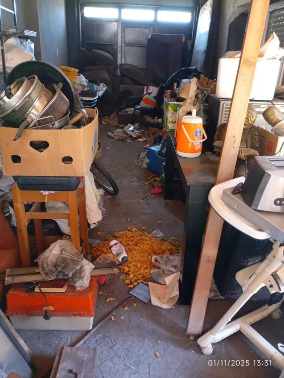 WhatsApp Image 2025-11-03 at 10.24.18