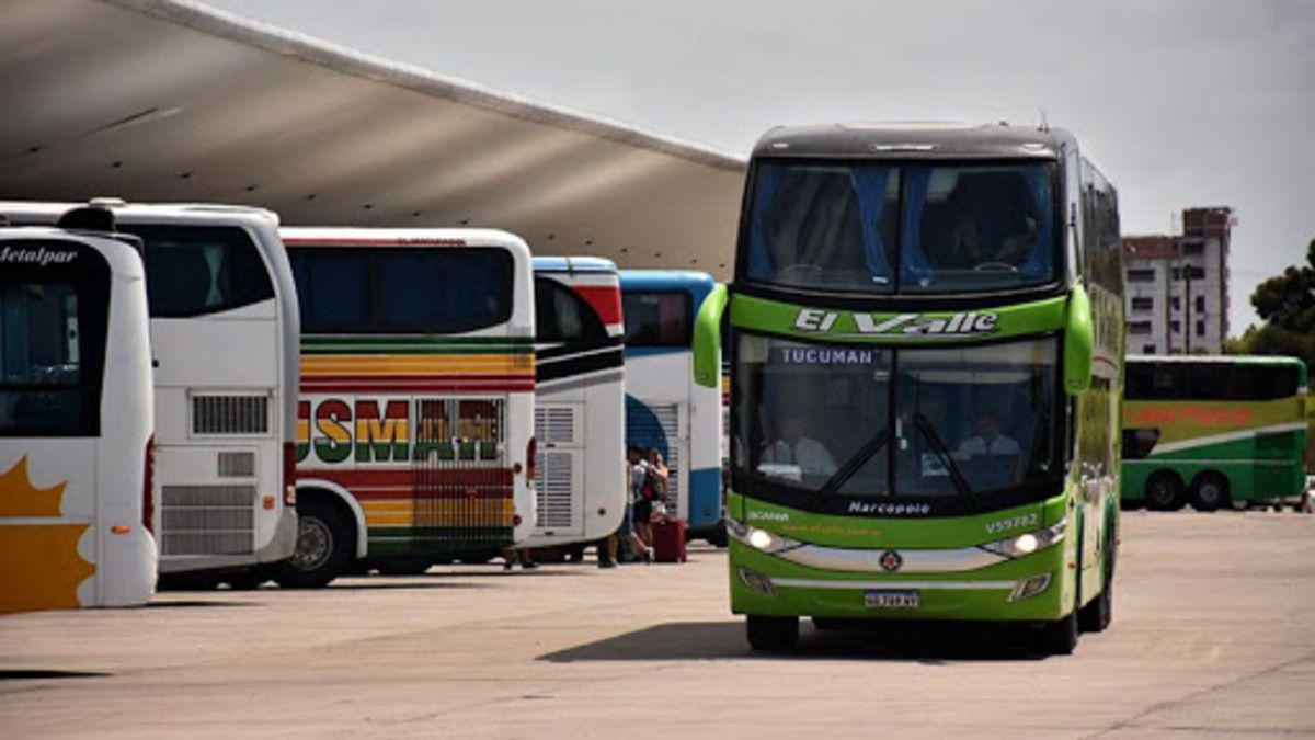 Colectivos larga distancia