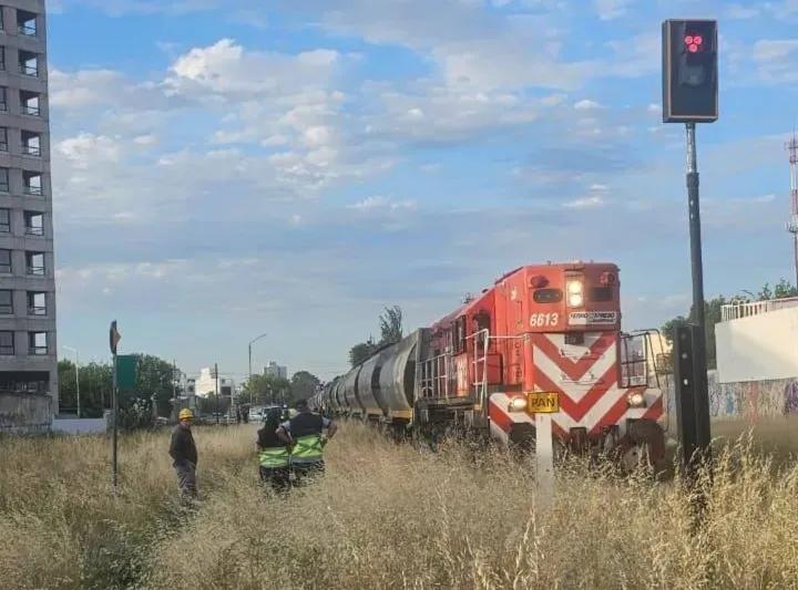 WhatsApp Image 2026-01-17 at 10.28.55