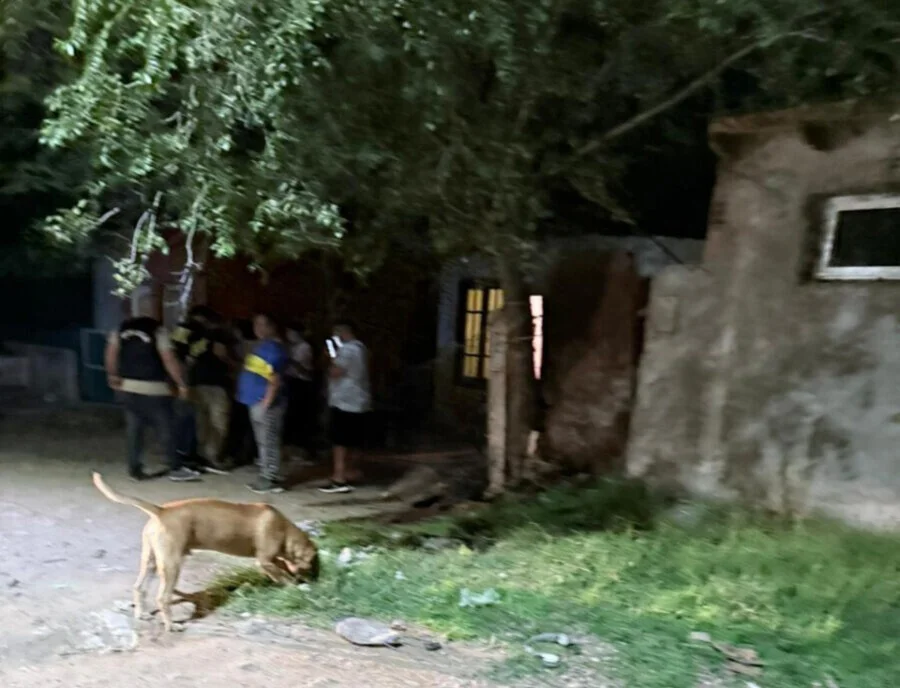 WhatsApp Image 2026-03-28 at 12.28.55