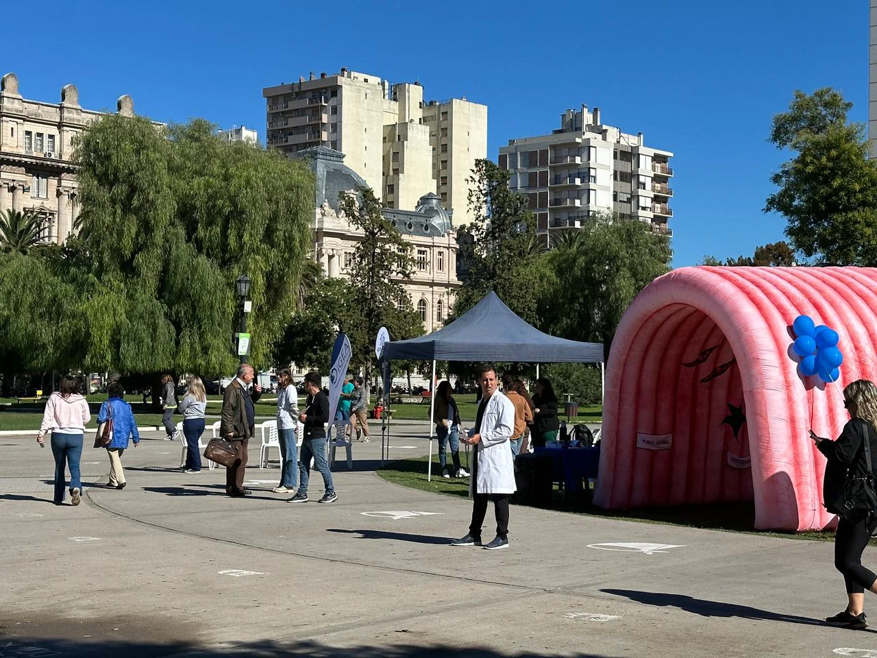 WhatsApp Image 2026-03-25 at 11.03.25