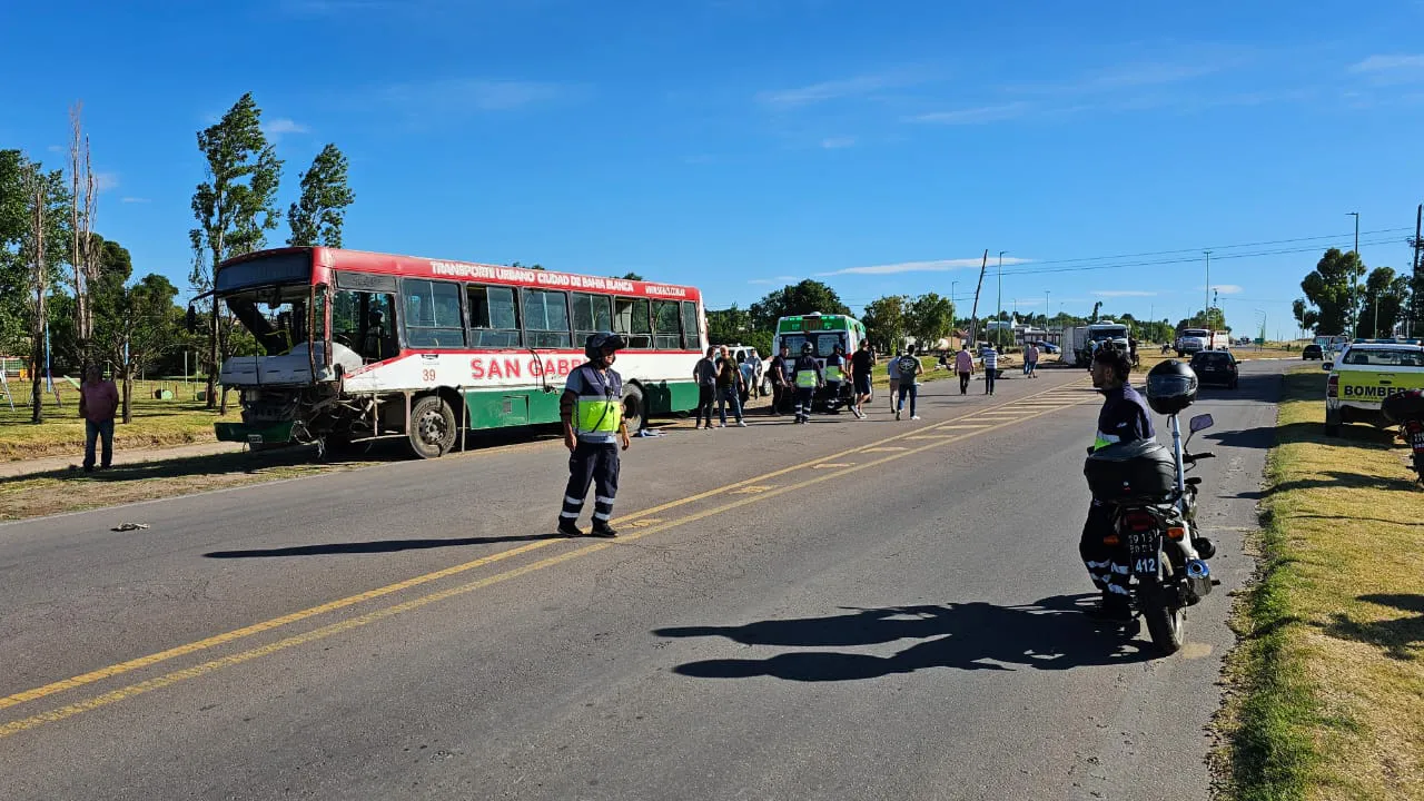 WhatsApp Image 2025-12-12 at 09.34.22