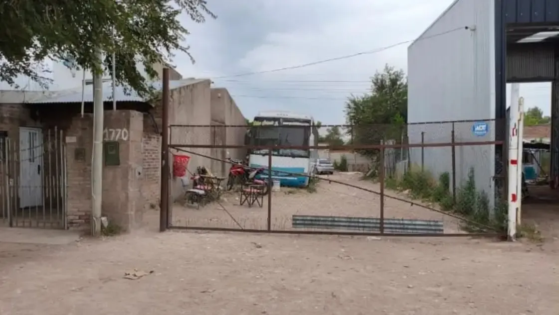 WhatsApp Image 2026-01-25 at 14.25.41