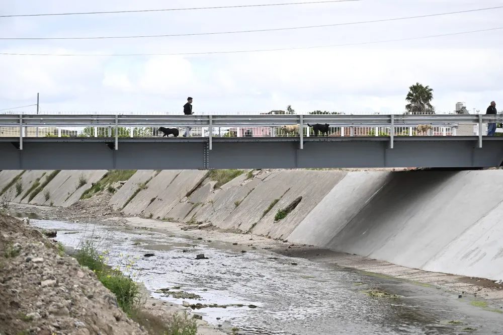 puente calle libano