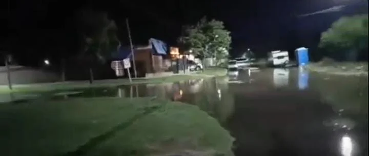 WhatsApp Image 2026-02-25 at 10.02.19 (1)