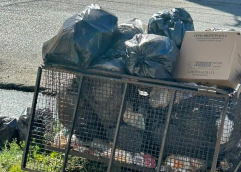 WhatsApp Image 2025-12-17 at 10.34.03