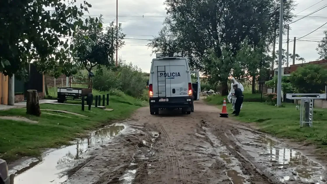 WhatsApp Image 2026-03-15 at 12.09.45