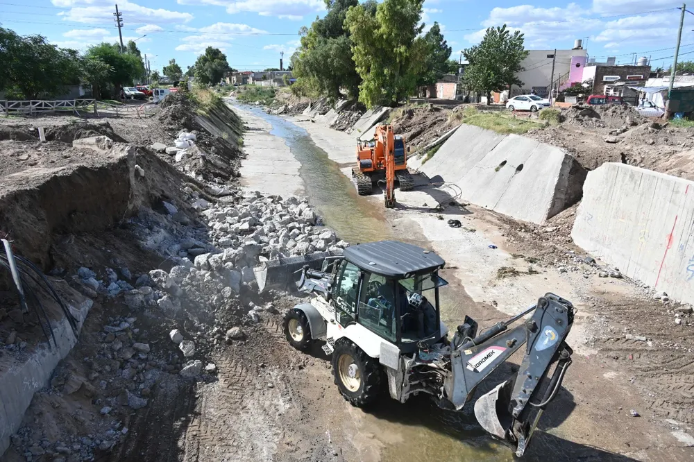 WhatsApp Image 2026-03-11 at 17.43.54