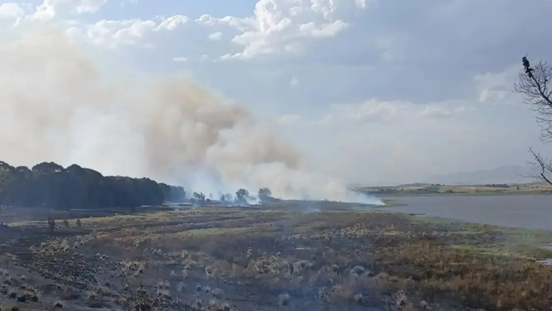 WhatsApp Image 2025-12-18 at 09.39.07